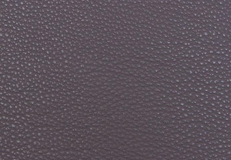 BIONICA